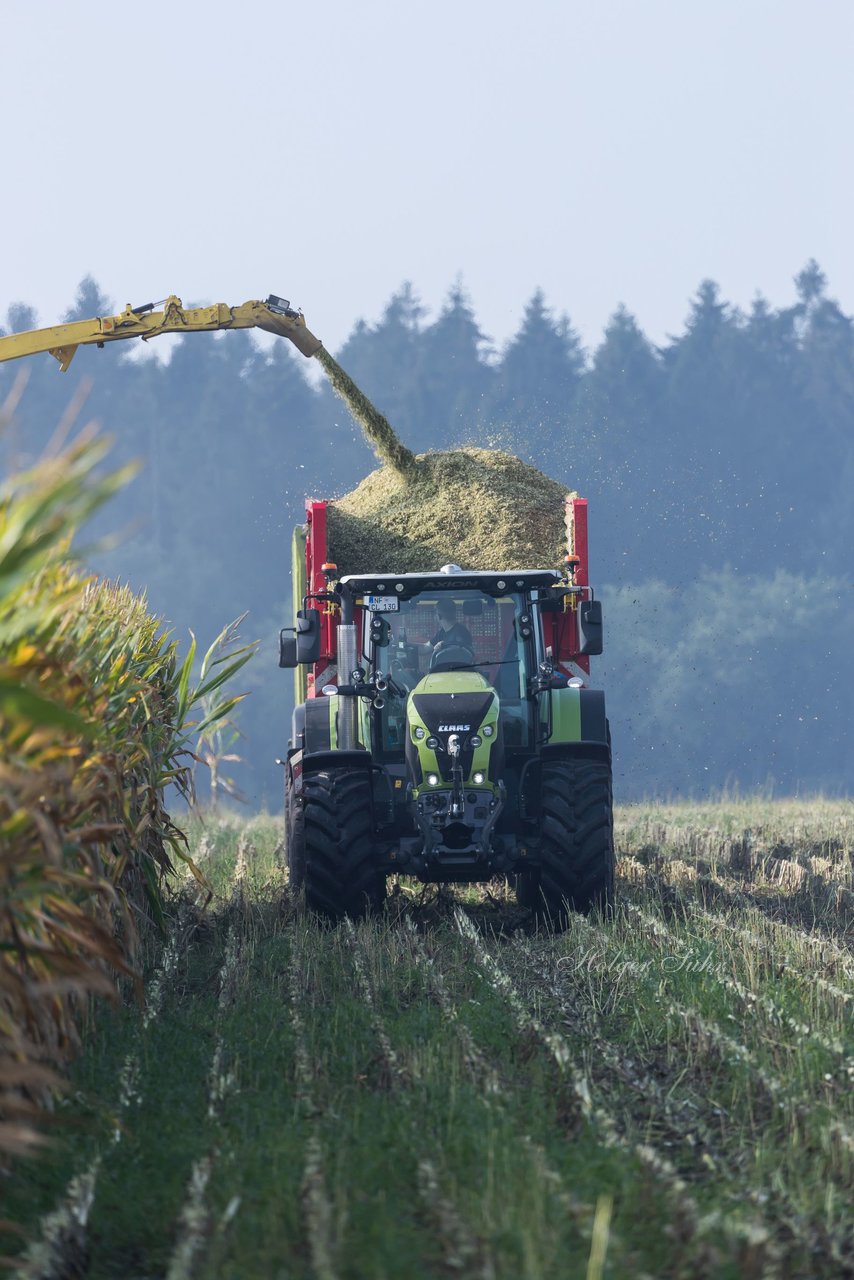 Bild 142 - Maisernte